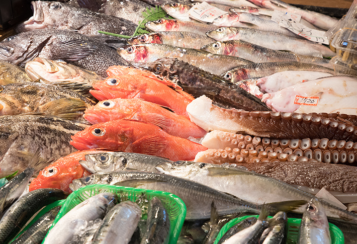 魚勝 青野水産について